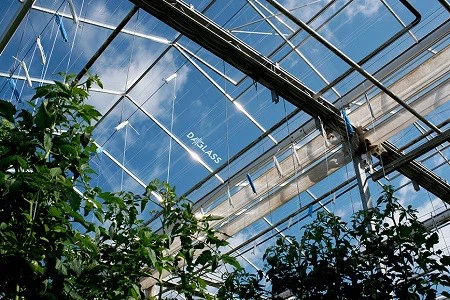 anti-reflective glass